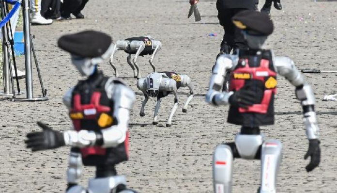 Robot Humanoid